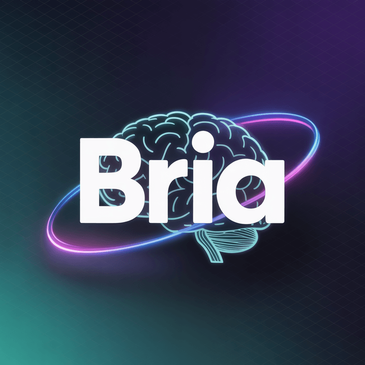 Bria AI aracının görseli